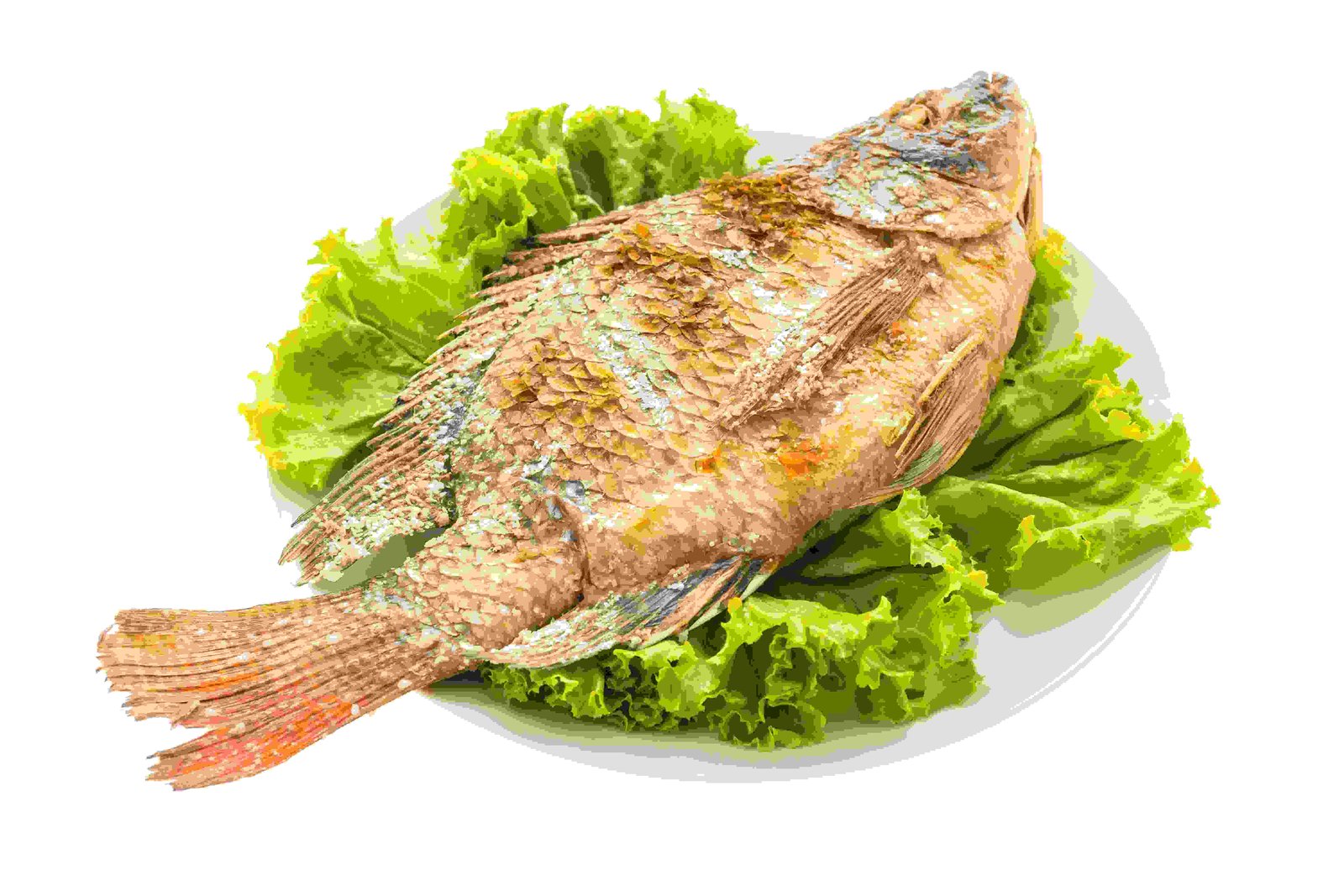 ikan goreng